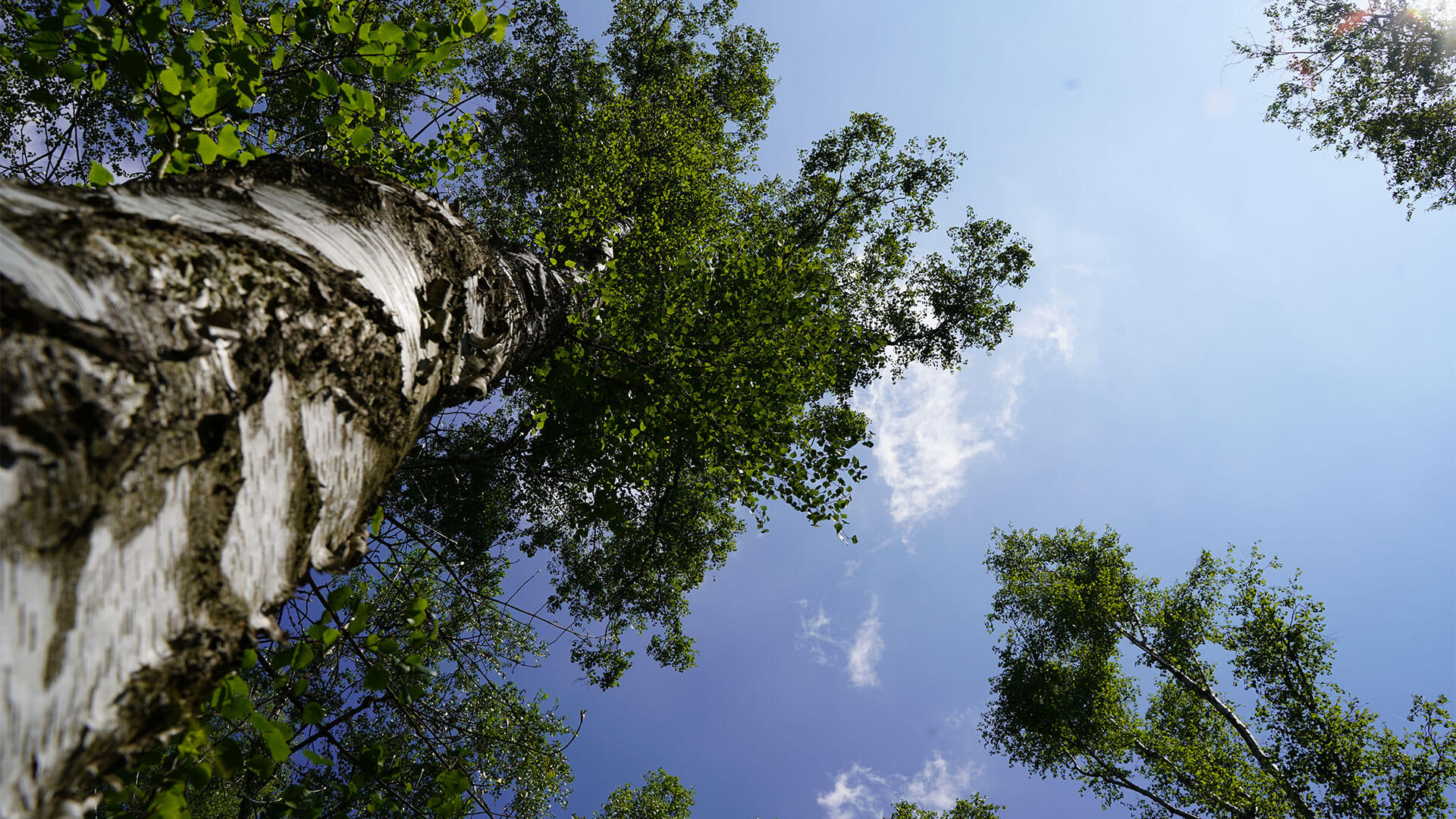 Lorem ipsum dolor sit amet